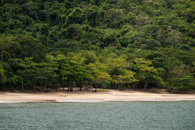 Vahşi Parnaioca Sahili 'nin güzel manzarası, Ilha Grande, Rio de Janeiro
