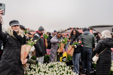 Amsterdam 'da Ulusal Lale Günü' nde Lale Seçmenin keyfini çıkaran kalabalık