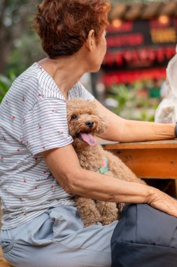 Kıdemli bir kadın yemek parkında otururken elinde küçük bir köpek tutuyor.