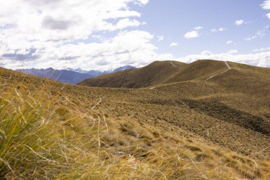 Wanaka, Yeni Zelanda 'da yürüyüş parkurları