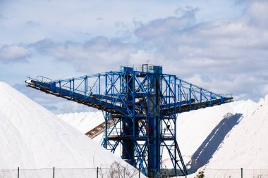 Santa Pola 'da iki tuz dağı arasında turna kuşu