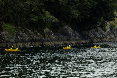 Bir grup Kanocu Milford Sound, Yeni Zelanda 'yı keşfetti