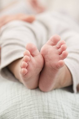 Yumuşak bir nane battaniyesinde dinlenen bebek ayakları.