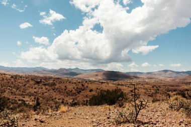 Batı Teksas çölünde bulutlar engebeli tepeler ve kaktüsler üzerinde sürükleniyor.