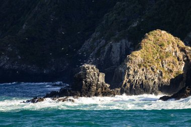 Güney Adası 'ndan Kuzey Adası' na, Yeni Zelanda 'ya giden feribot görüntüsü
