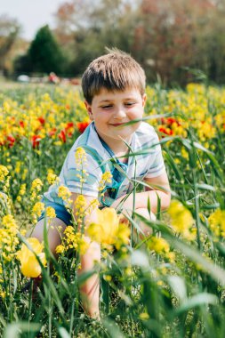 Sarı çiçeklerle çevrili lale tarlasında çömelmiş bir çocuk.