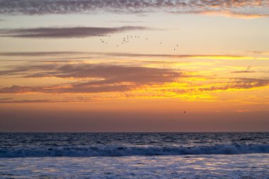 Kuşlar altın bulutların üzerinde uçar alacakaranlıkta yumuşak dalgaların üzerinde