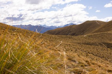 Wanaka, Yeni Zelanda 'da yürüyüş parkurları