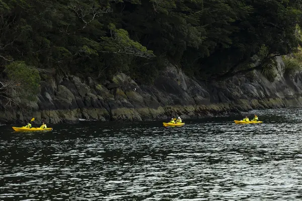 Bir grup Kanocu Milford Sound, Yeni Zelanda 'yı keşfetti