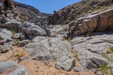 Agua Fria Nehri Kanyonu Arizona