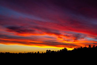 Kızgın günbatımı bulutları, siluetli ağaçların tepelerinde gökyüzüne doğru uzanıyor.