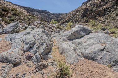 Agua Fria Nehri Kanyonu Arizona