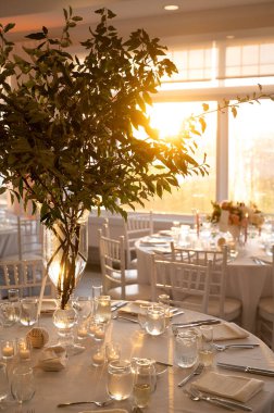 Suns 'taki Uzun Yeşillik Sahil Düğün Masası Ayarları