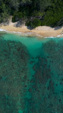 Hawaii sahilinde dalgalar çarpışıyor.