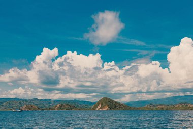 Labuan Bajo denizinde ada yaşamı
