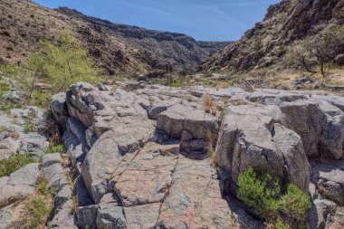 Agua Fria Nehri Kanyonu Arizona