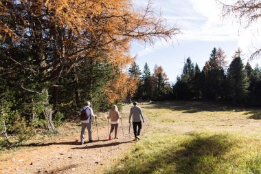 Güney Tyrol 'da yürüyen üç dağcı, Dolomitler
