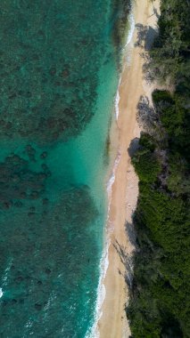 Hawaii sahilinde dalgalar çarpışıyor.