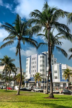 Ocean Drive 'daki South Beach Miami sanat deco otelleri