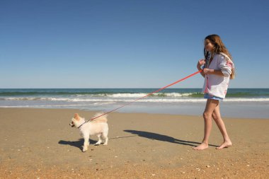 Mutlu genç kız kumsalda beyaz Pomeranya köpeği yürüyor.