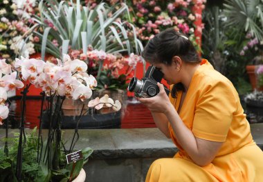 Artı 120 Bronica Film Kamera Orkideleri 'nde Fotoğraf Çeken Boyut Kadın