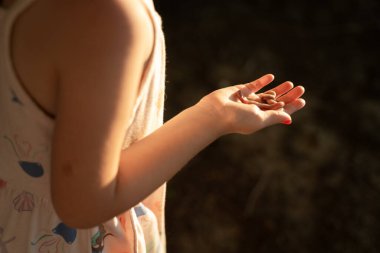 Çocuk Güneş Işığında Toprak Solucanı Tutar