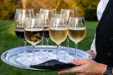 Açık Hava Olayında Soğuk Beyaz ve Kırmızı Şarap Tepsisi