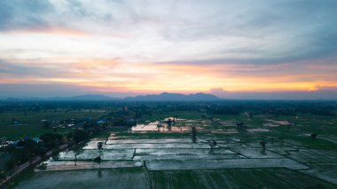 Manzara günbatımı ve yeşil pirinç tarlaları Kanchanaburi, Tayland.