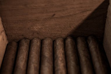 Ahşap kutuda sarılmış purolar.