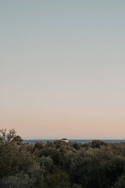 Olive Grove, Arnavutluk kıyılarındaki denize doğru uzanıyor
