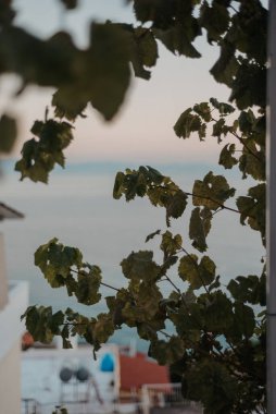 Arnavutluk Riviera 'nın Turkuaz Denizi' nden Üzüm Yaprakları