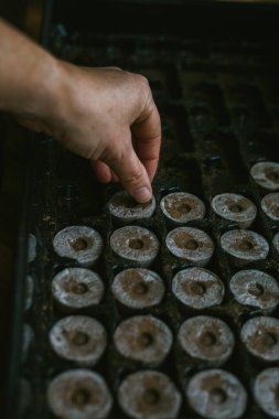 Tohum Başlangıç Tepsileri Yeni Bitkiler için Hazırlanıyor