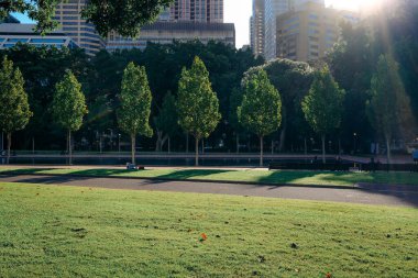 Hyde Park, Sydney 'de çimlerin ve ağaçların üzerinde güneş ışığı
