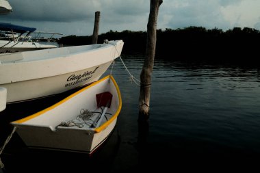 Isla Mujeres 'de Sessiz Gelgitler ve Bağlı Düşler