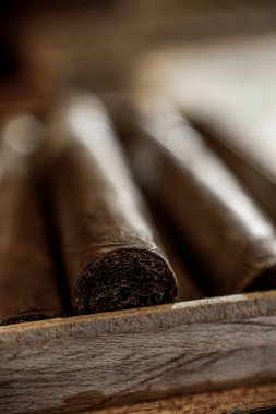 Sigara tütününün detaylarını kapat ve dikey olarak kutuya koy