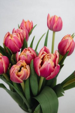 Buket pembe ve sarı şakayık çift laleler çiçek açar, yumuşak arkaplan.