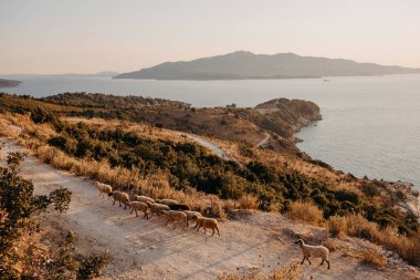 Arnavutluk Rivierası Boyunca Kıyı Koyun Yolu, Arkaplanda Korfu