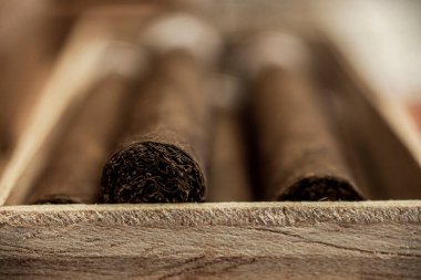 Puro tütününün detaylarını kutu içinde bitir