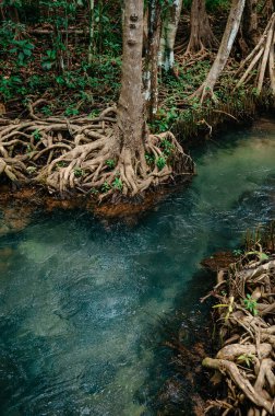 Tayland, Krabi 'de iki su kanalı Tha Pom Khlong Song Nam