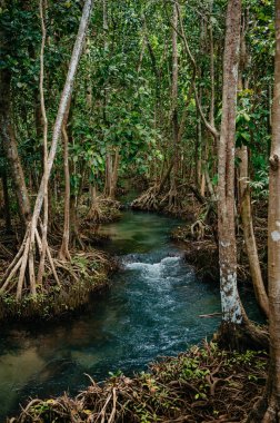 Tayland, Krabi 'de iki su kanalı Tha Pom Khlong Song Nam
