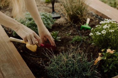 Kaldırılmış bahçe yatağında toprak kazan ellerin yakın çekimi