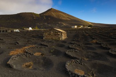 Bodega La Geria şarap içme alanının kalbinde yer almaktadır.