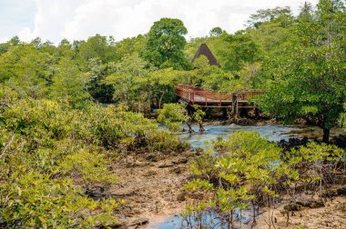 Krabi Mangroves, Thapom Klong Song Nam