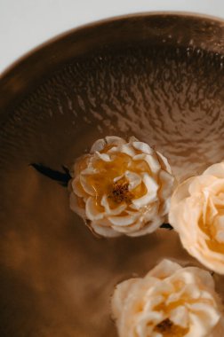 Su titreşimleri ve yüzen çiçeklerle Tibet Şarkı Kasesi