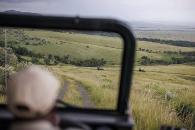 Bir safari rehberi Kenya 'nın Masai Mara Ulusal Rezervi' nde bir jip kullanıyor..