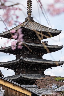 İlkbaharda pembe kiraz ağaçları tarafından çerçevelenmiş Yasaka Pagoda