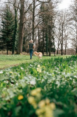 Etrafı köpekle çevrili parkta huzurlu bir yürüyüşün tadını çıkarıyorum.