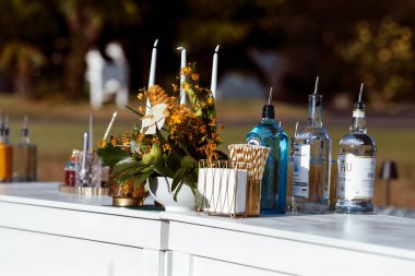 Modern Ada Yetenekli Tropikal Düğün Barı