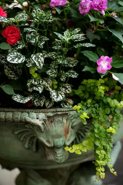 Yeşillik ve yemyeşil çiçeklerle süslenmiş antika ekiciler.