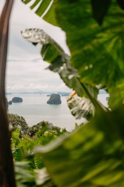 Ada Manzarası Tropikal Yapraklar, Phang Nga Körfezi, Krabi